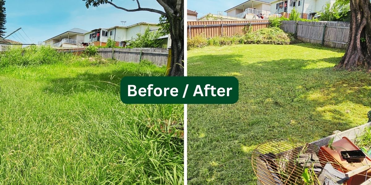 Yard transformation 5